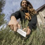 Gerber Flatiron Micarta D2 zložljiv kuhinjski in vrtni nož - slika 2