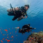 Potapljaški tečaj - Nadaljevalni L3 - slika 2